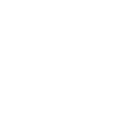 Gallery/Lab Icon