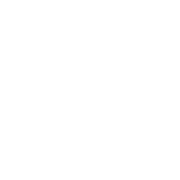 Notes Icon